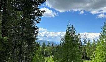 Nhn Black Wolf Trail, Bigfork, MT 59911