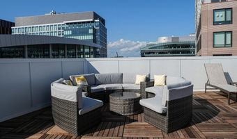 38 Hichborn 204, Boston, MA 02135