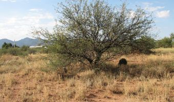 16415 S Shoshone Trl 317, Benson, AZ 85602