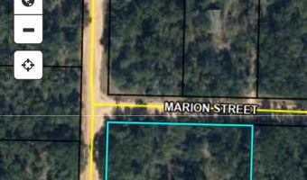 00 MARION St, Alford, FL 32420