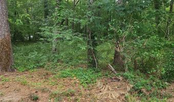 000 SHORE Dr 420, 421, 422, Ashville, AL 35953