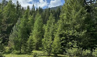 5784 River Rd, Clark Fork, ID 83811