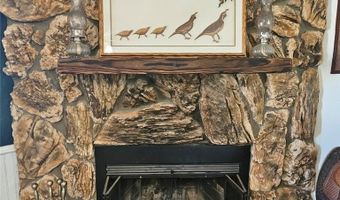 54197 Scouts Ln, Anza, CA 92539