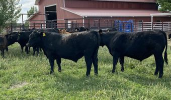 918 ROAD 4990, Bloomfield, NM 87413