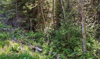 NNA Stone Rd Lot 2 20.0 Acres, Blanchard, ID 83804