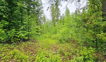 1895 TBD BLUE CREEK ROAD Rd, Addy, WA 99101