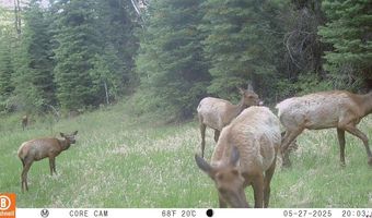 15098 CR 240, Bayfield, CO 81122
