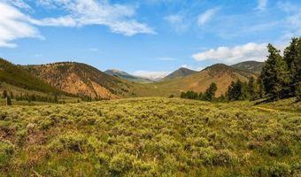 1220 Wilder Mountain Rd, Almont, CO 81210