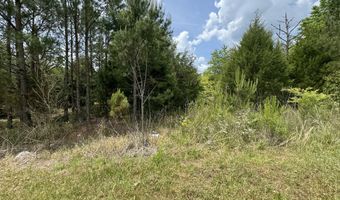 0 W Oglethorpe St 3, Ellaville, GA 31806