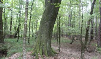 NE Hopewell Road, Brookhaven, MS 39601