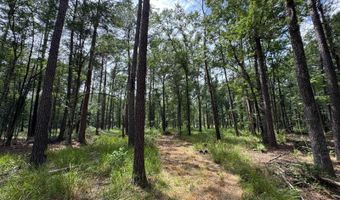 Fox Paw Court, Branchville, SC 29432