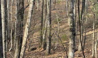 Lime Plant Road lot 6, Appomattox, VA 24522