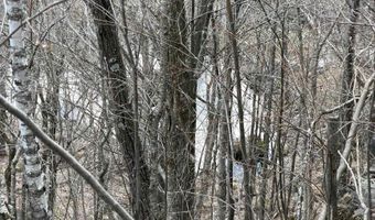 493 Wheeler Mountain Rd, Barton, VT 05822