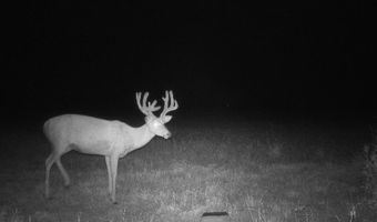 607 Hwy 69, Arma, KS 66712