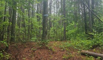 Jim Allred Road, Bankston, AL 35542