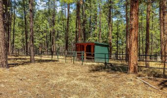61 Co Rd 2266, Alpine, AZ 85920