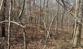 Hwy 127, Albany, KY 42602