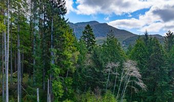 Walsh Ln, Arch Cape, OR 97102
