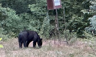 1426 CR 921, Alpena, AR 72611