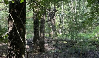 0 CR 4236, De Kalb, TX 75559
