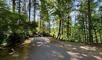 Alder Branch RD, Springfield, OR 97478