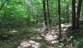Wendy Drive lot 134-135, Alton, NH 03810