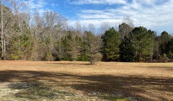 6384 COBBHAM Rd, Appling, GA 30802