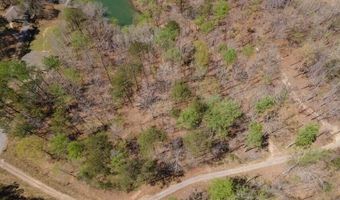 W POINT DRIVE lot 2 & 3, Arley, AL 35541