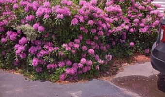 187 King St, Boscawen, NH 03303