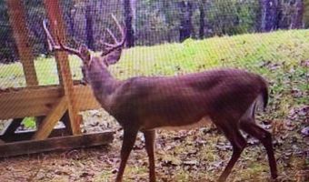 55 65 & 125 B Rock Ln, Batesville, AR 72501