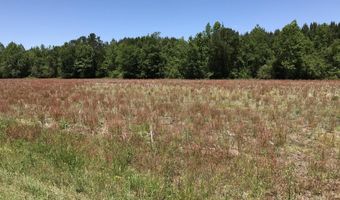 5550 Little Prong Rd NW Lot 9, Ash, NC 28420