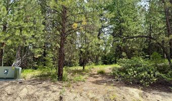 53 Landale Ln 37, Cascade, ID 83611