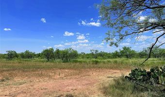 TBD East Tract County Road 356, Anson, TX 79501