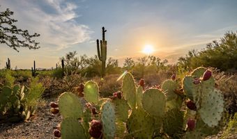 6505 E OLD PAINT Trl, Carefree, AZ 85377