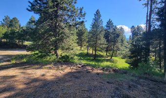 10346 Emma Loop, Cascade, ID 83611