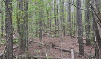 Hester Road, Ackerman, MS 39735