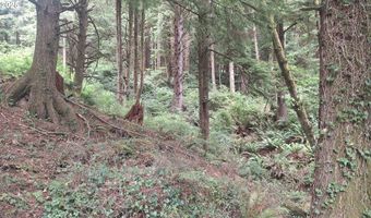 Picture Windw Lane, Arch Cape, OR 97102