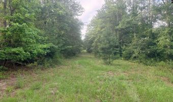 Goldenrod Drive, Barnwell, SC 29812