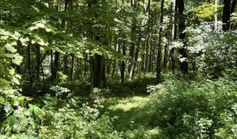 149 Birch Ln, Ancramdale, NY 12503