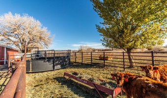 918 ROAD 4990, Bloomfield, NM 87413
