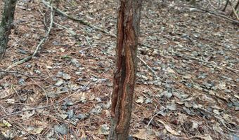 9891 Baskerville Rd, Baskerville, VA 23915