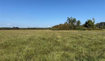 12790 Behning Rd, Alpena, MI 49766