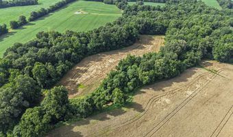 Old Jackson Road, Bells, TN 38006