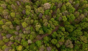 tbd9999 Wentworth School Road, Beattyville, KY 41311