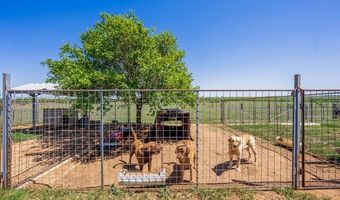 9404 Crow Ln, Adkins, TX 78101