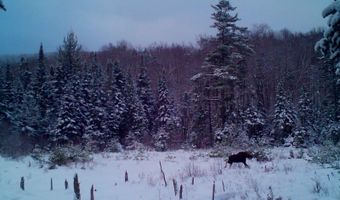 28 Miles Rd, Benton, NH 03785