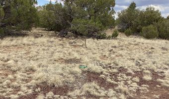 207 ACR 8056 Rd 218, Concho, AZ 85924