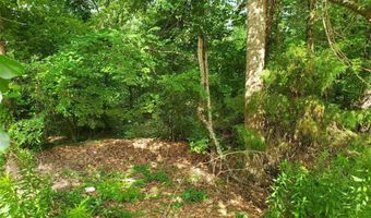 136 Plum Tree Rd, Brandon, MS 39047