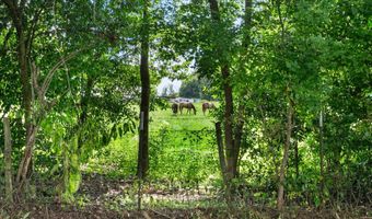 323 Butler Rd, Belcher, LA 71004