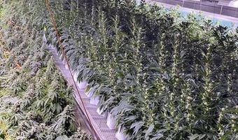 420 Reiten Dr, Ashland, OR 97520